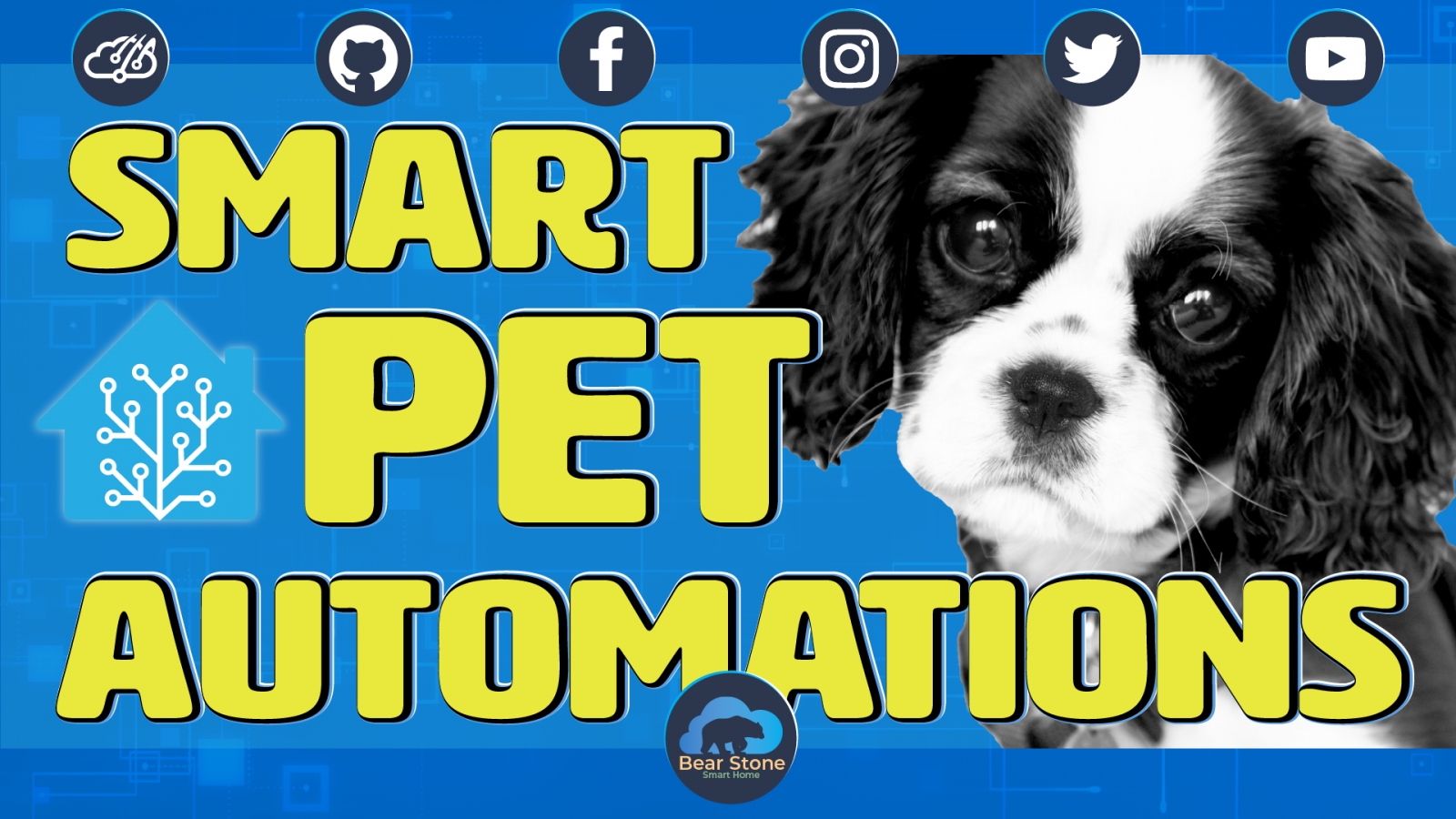 Home Assistant Pet Automation Example vCloudInfo