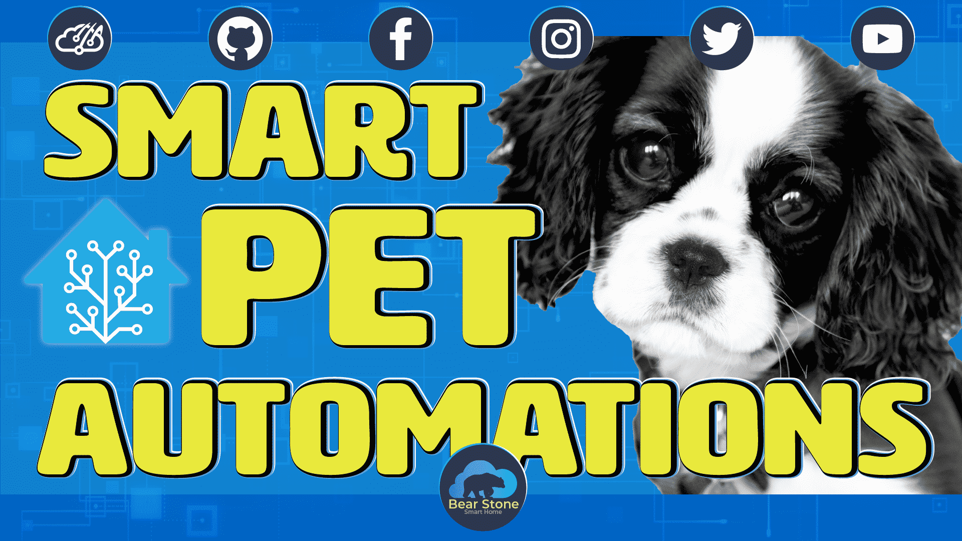 Home Assistant Pet Automation Example 1 Home Assistant Pet Automation Example 1